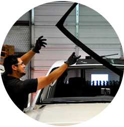 safety window films